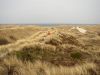 Strand 9